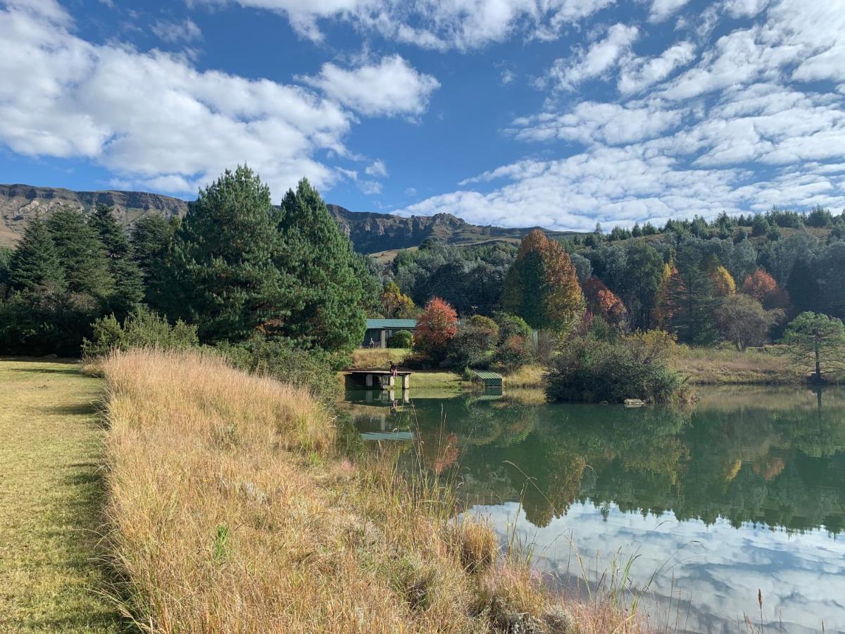 Brackenburn Trout And Trail Retreat Apartment Elandskop Bagian luar foto