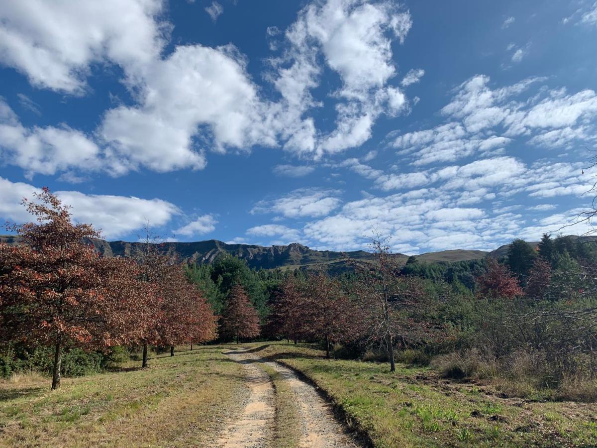 Brackenburn Trout And Trail Retreat Apartment Elandskop Bagian luar foto